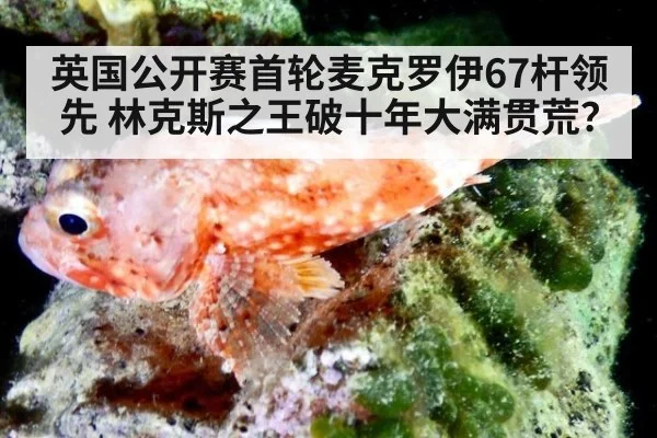 英国公开赛首轮麦克罗伊67杆领先 林克斯之王破十年大满贯荒？